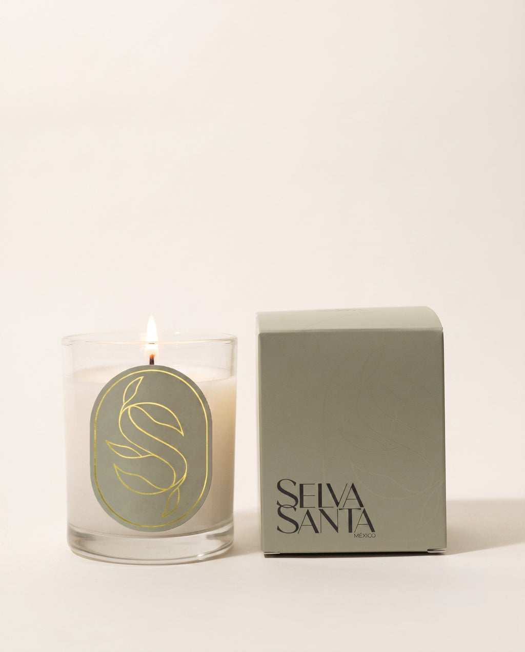 Vela Perfumada  Hojas de Verbena y Cáscaras de Bergamota 230 g